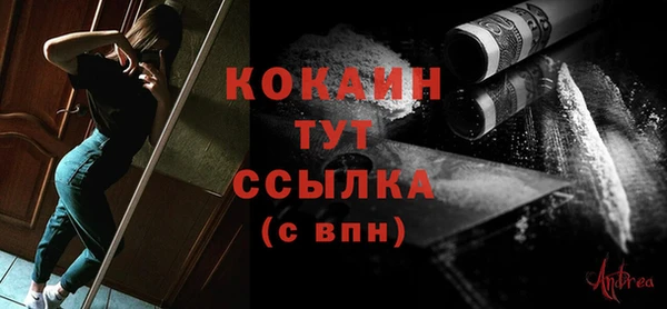 тгк Абаза