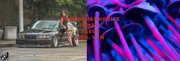 стаф Абдулино