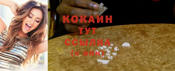 тгк Абаза