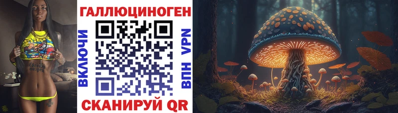 Галлюциногенные грибы Psilocybine cubensis  купить  цена  Костерёво 